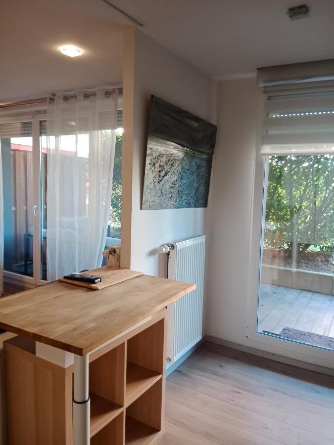 Tres Bel Appartement Rez De Jardin Appart De 53M2. Pfastatt Exterior foto